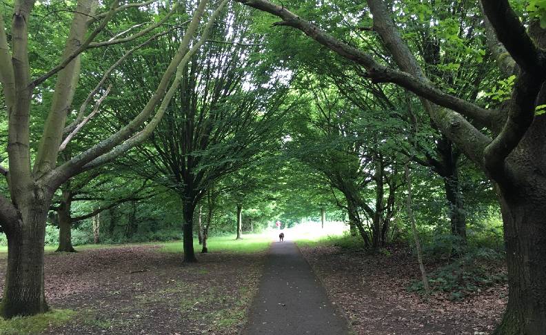 Hendon area view 8