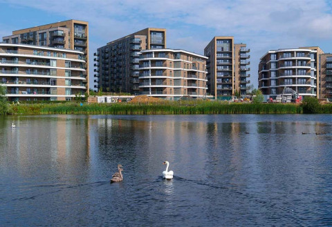Bankside Gardens, Reading, RG2