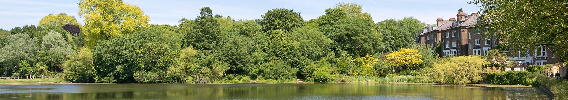 Hampstead Area Guide Video