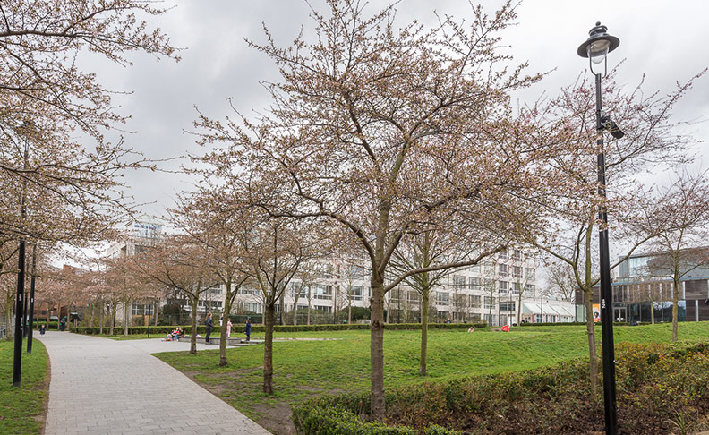Swiss Cottage area view 4
