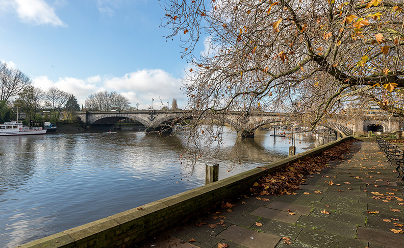 Kew Bordersarea view
