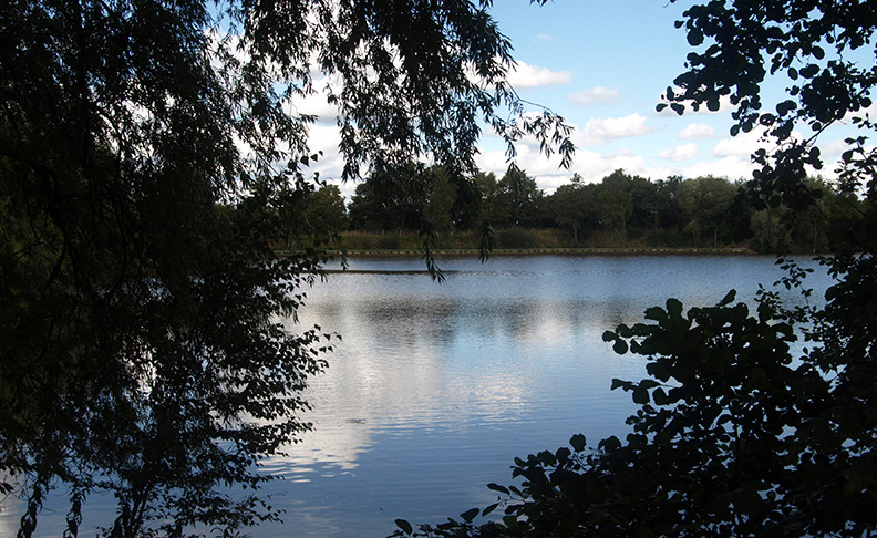 Black Park Country Park	