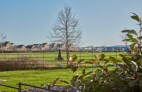 Morton Park amenities images 1