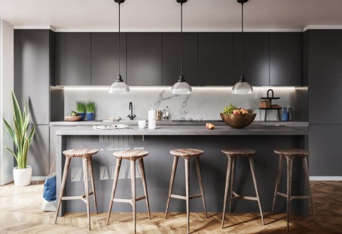 Kitchen view of The Denizen Image 1